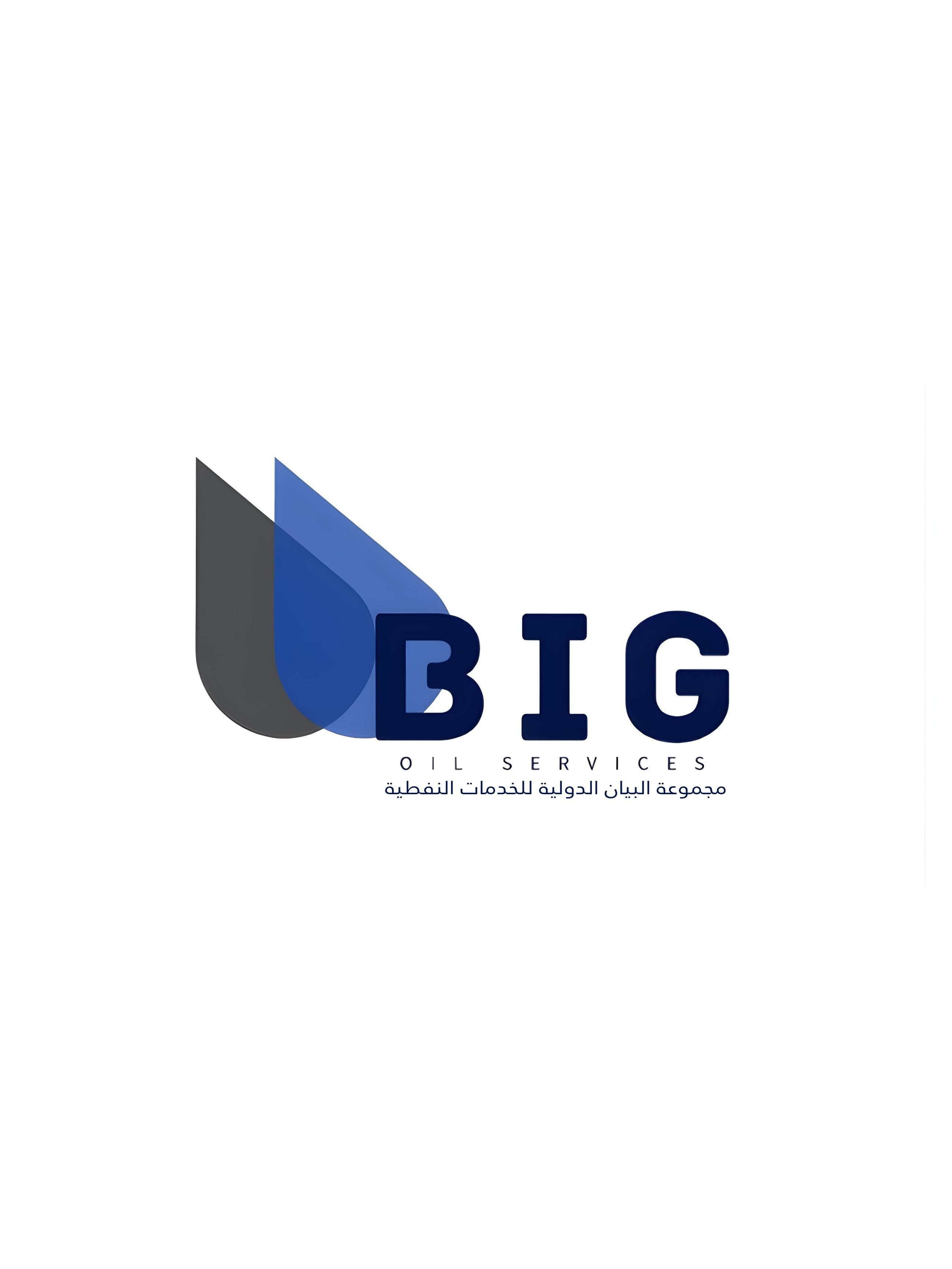 libyanspider-logo